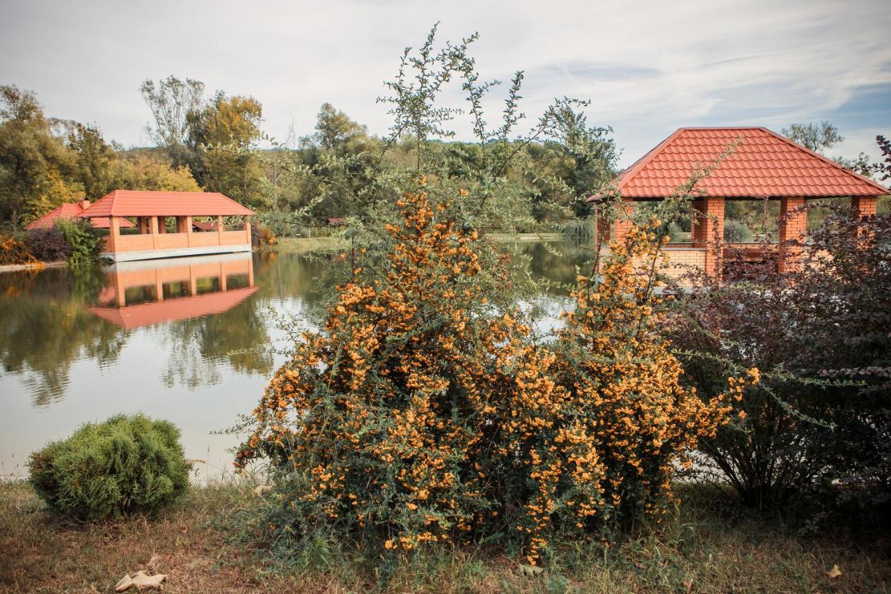 Illara Spa Hotel Irshava Exterior foto